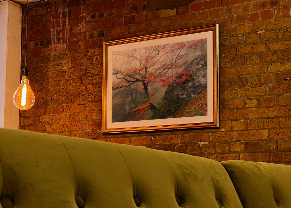 Neblige Herbstwälder