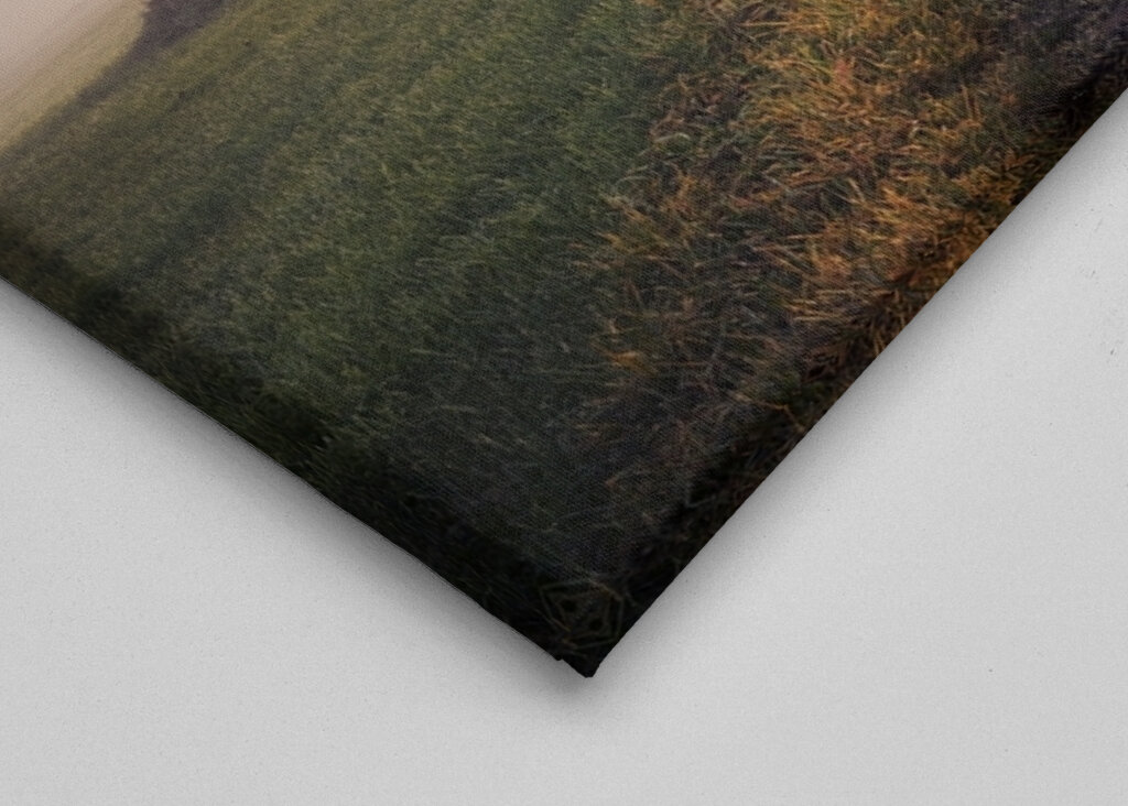 Niebla sobre el camino