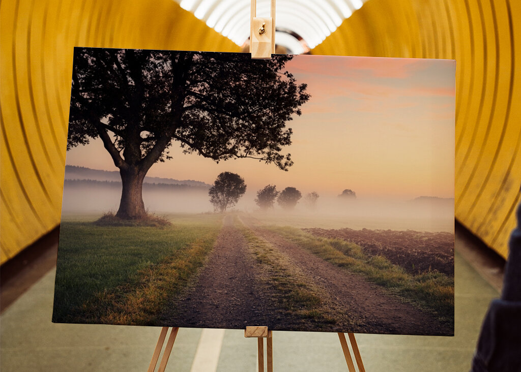 Niebla sobre el camino