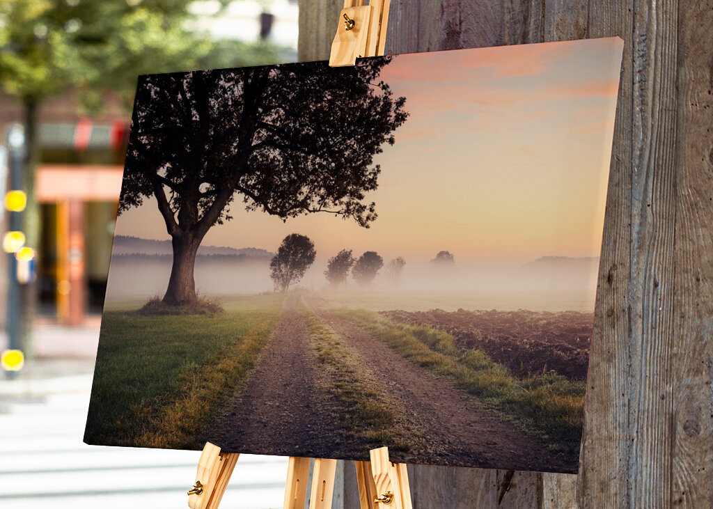 Niebla sobre el camino