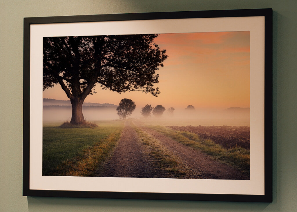 Niebla sobre el camino