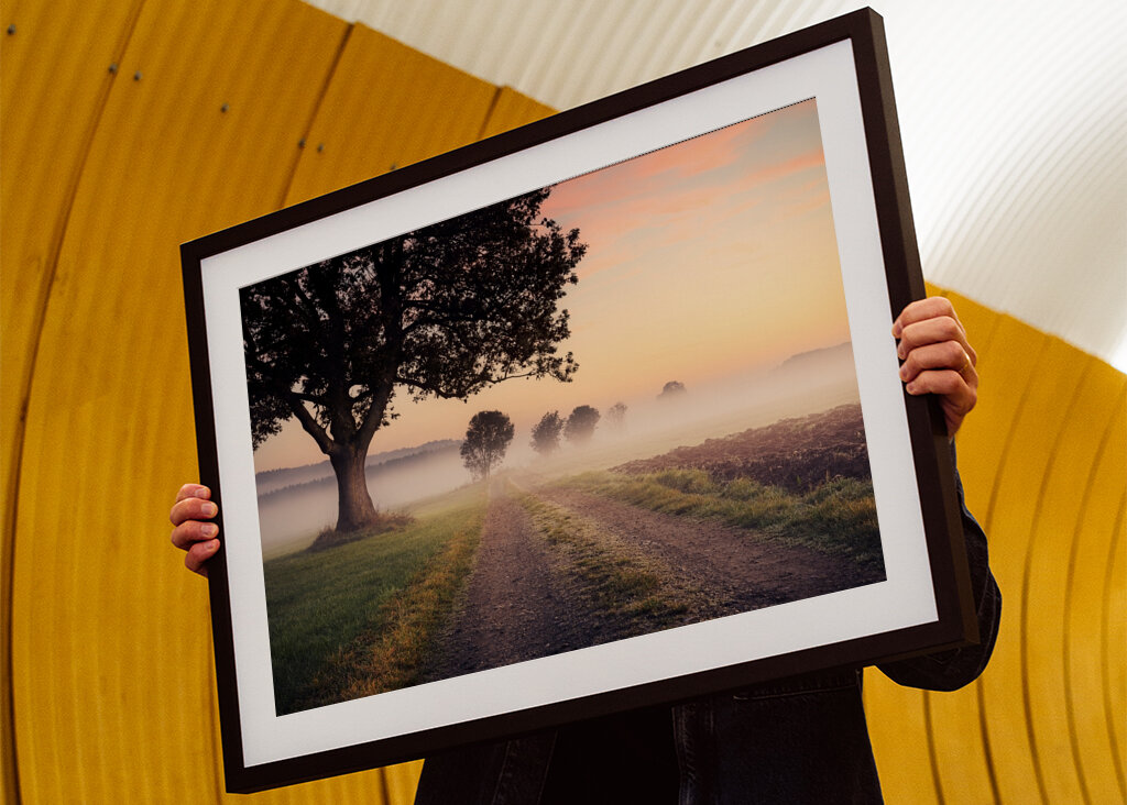 Niebla sobre el camino