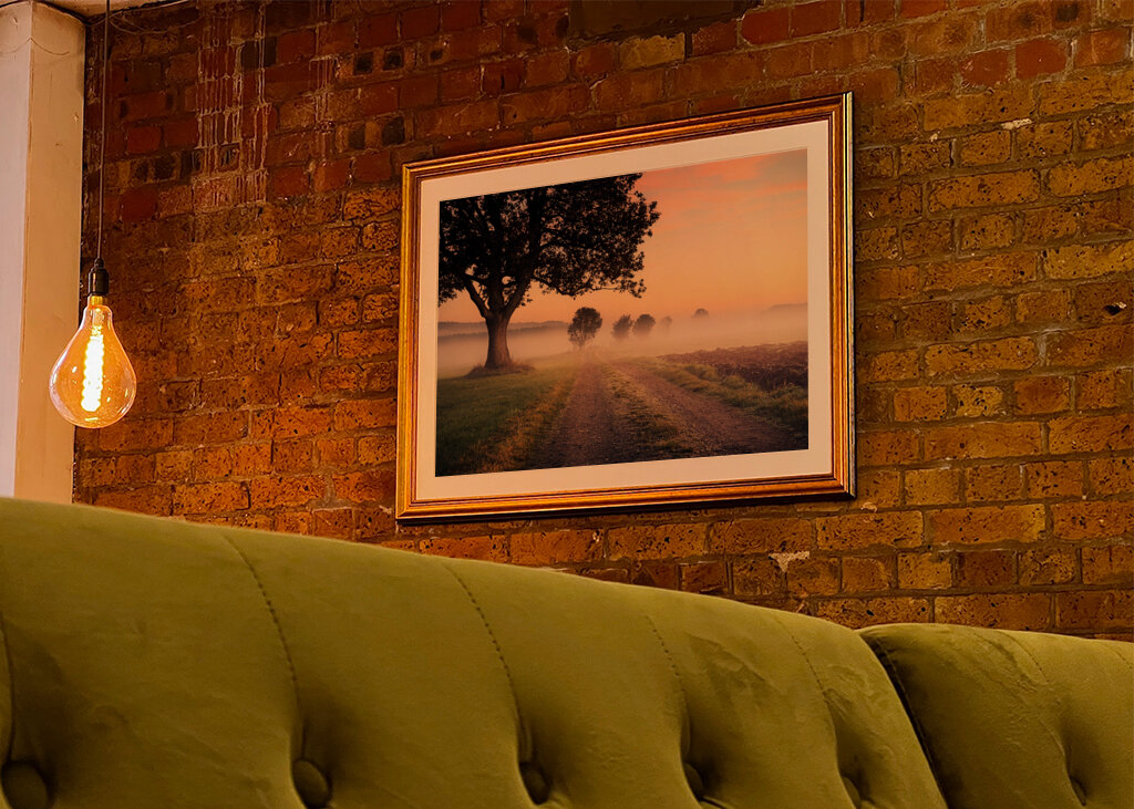 Niebla sobre el camino