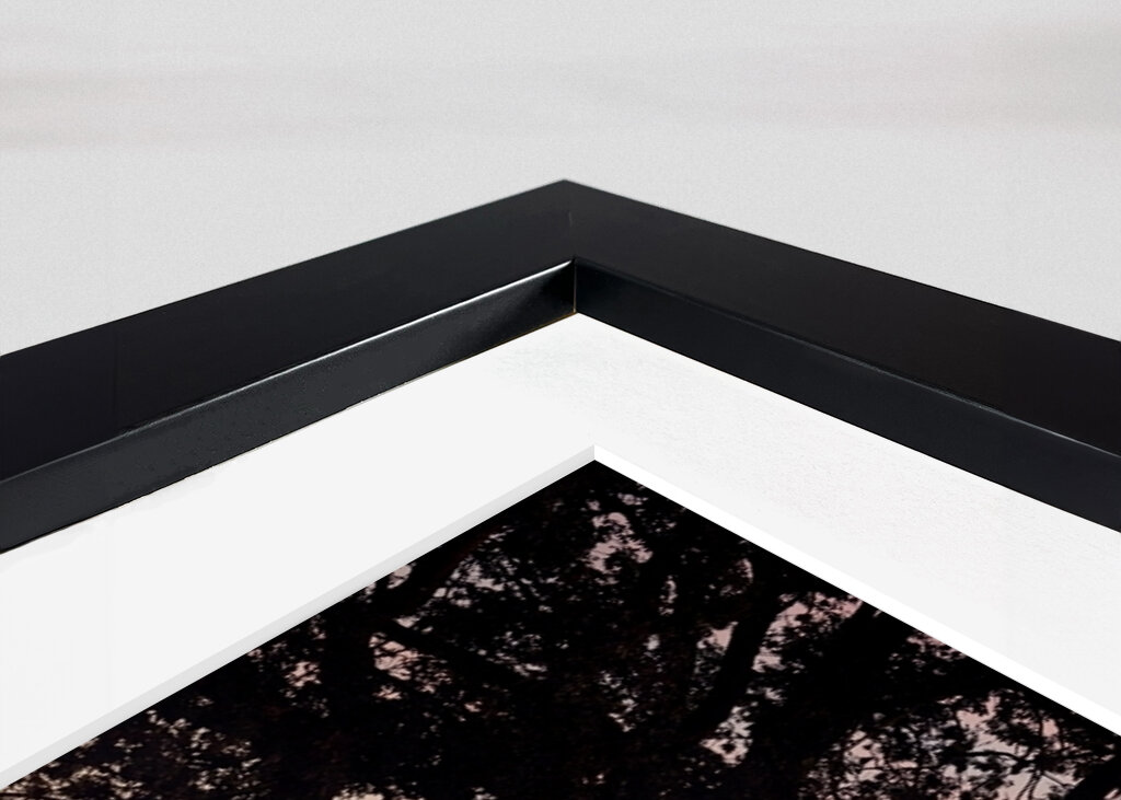 Niebla sobre el camino