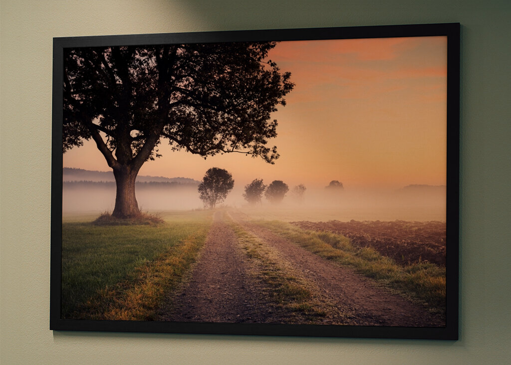 Niebla sobre el camino