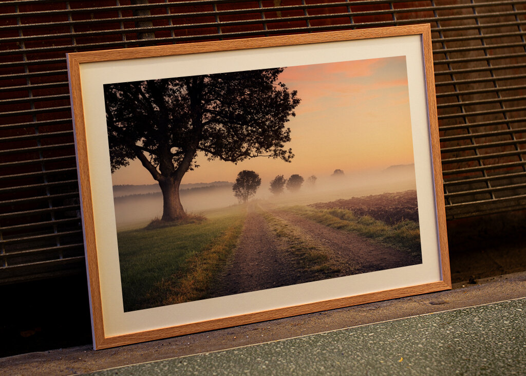 Niebla sobre el camino