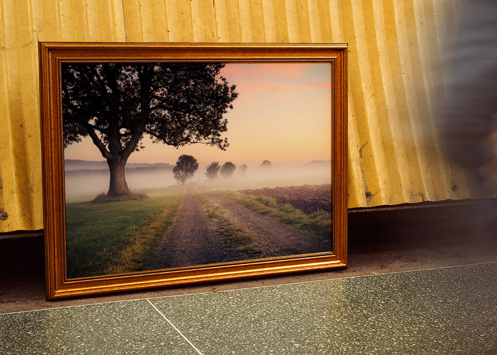 Niebla sobre el camino