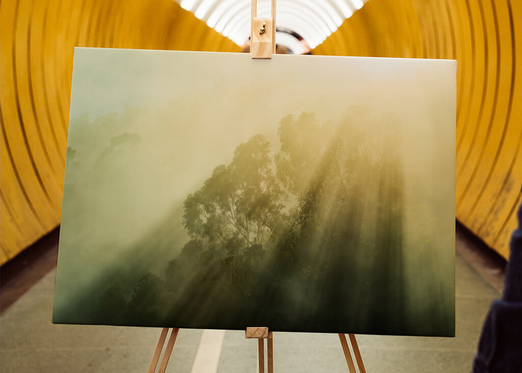 Rayos de sol brumosos