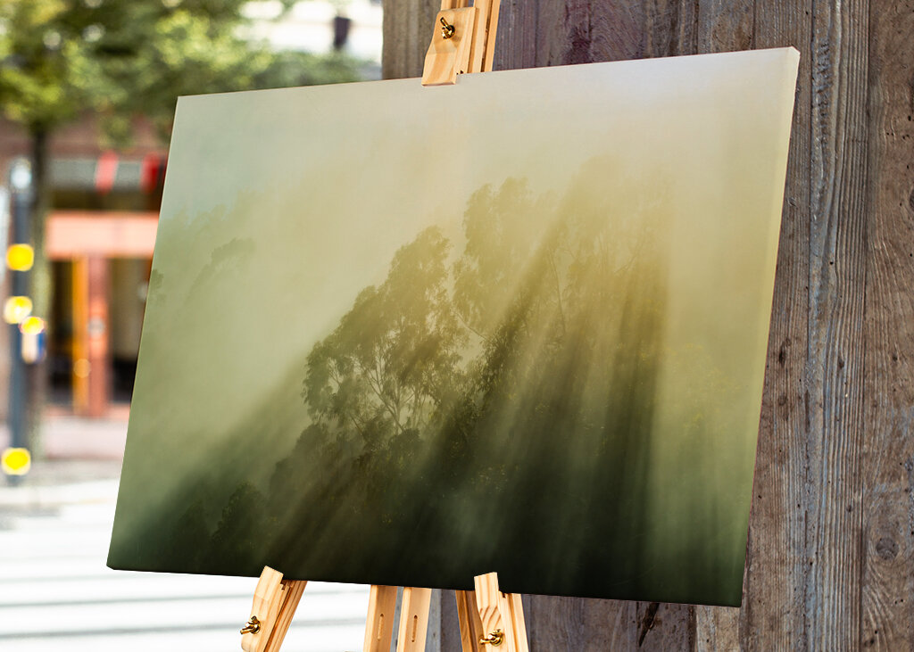 Rayos de sol brumosos