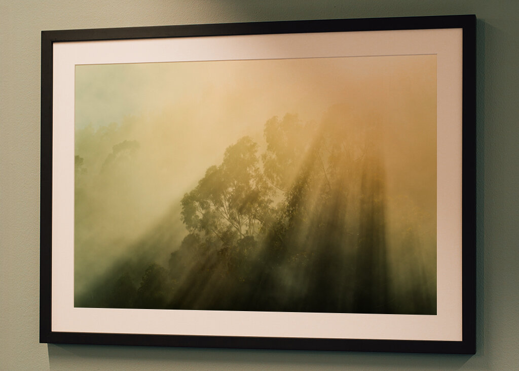 Rayos de sol brumosos