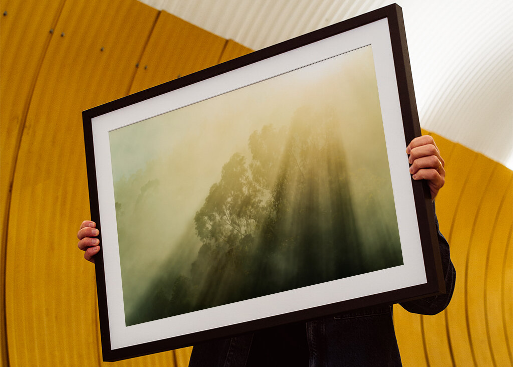 Rayos de sol brumosos