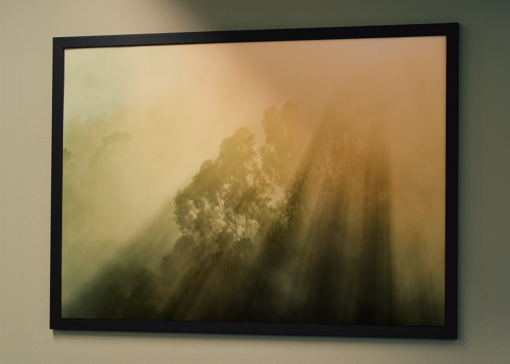 Rayos de sol brumosos