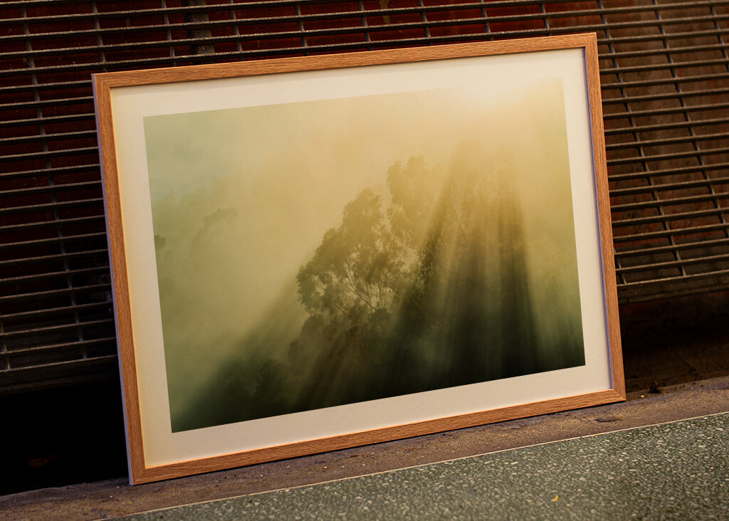 Rayos de sol brumosos