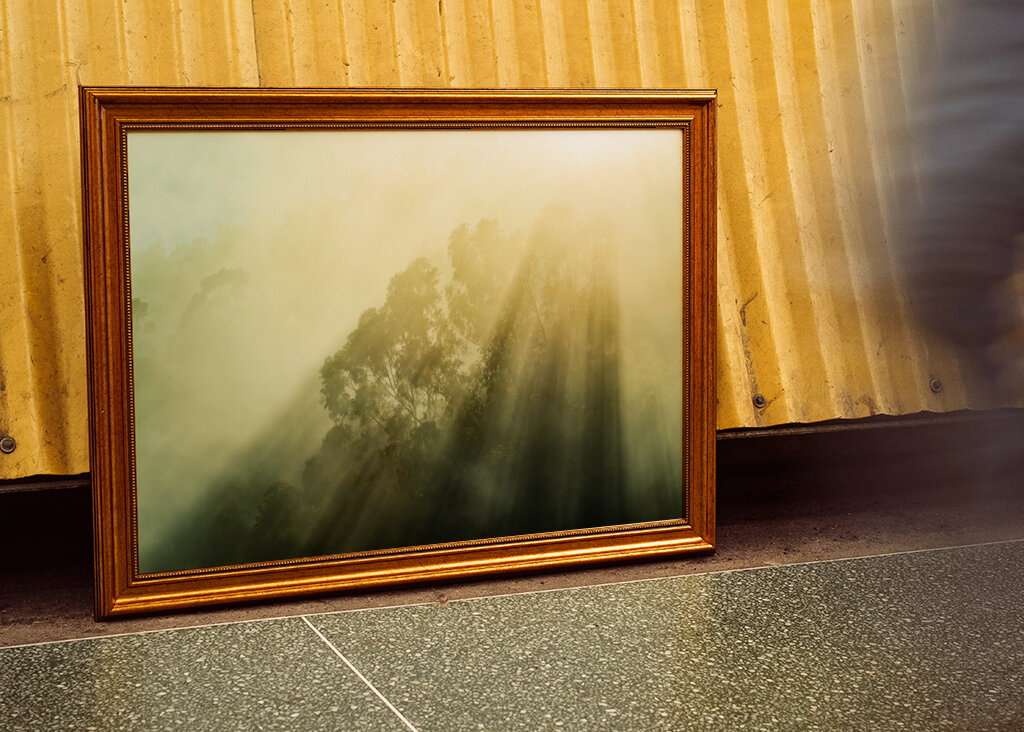 Rayos de sol brumosos