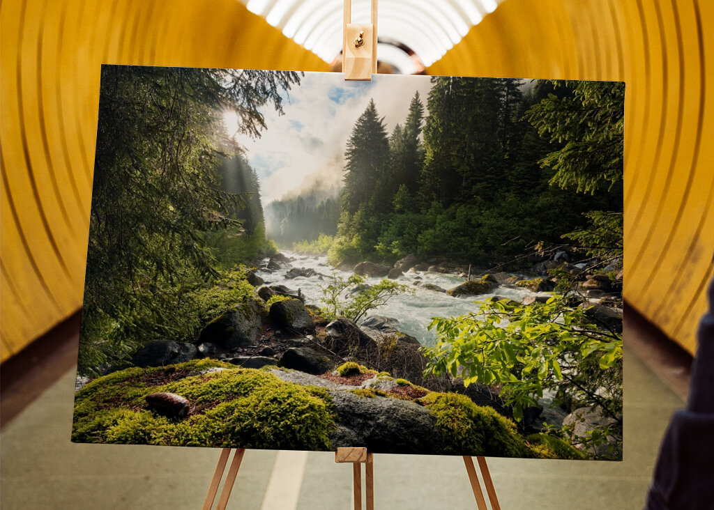 Sonnenbeschienener Waldbach