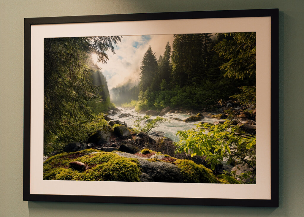 Sonnenbeschienener Waldbach