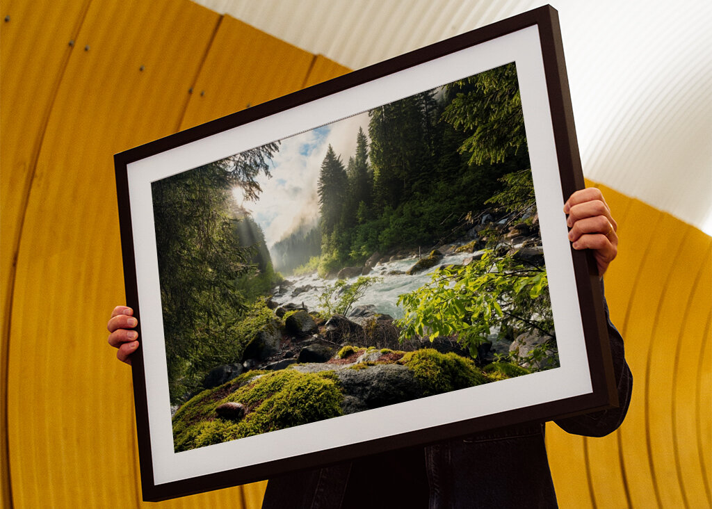 Sonnenbeschienener Waldbach
