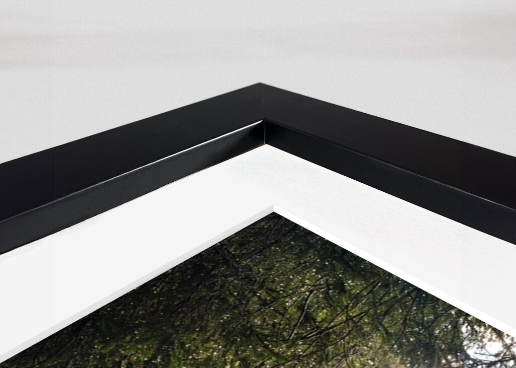 Sonnenbeschienener Waldbach