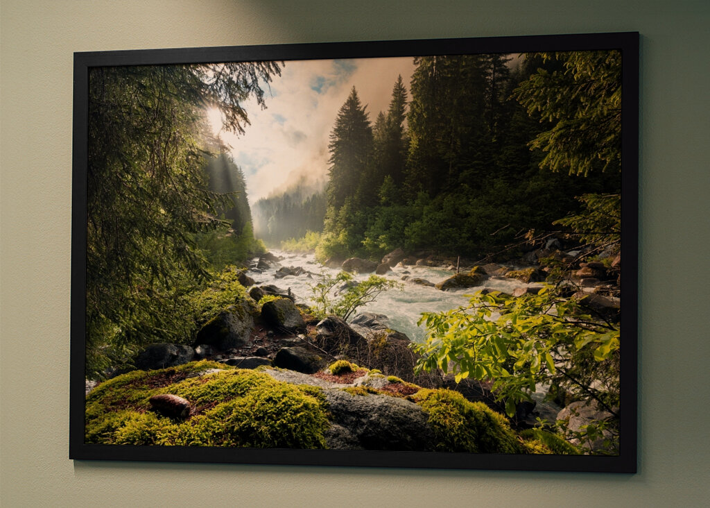 Sonnenbeschienener Waldbach