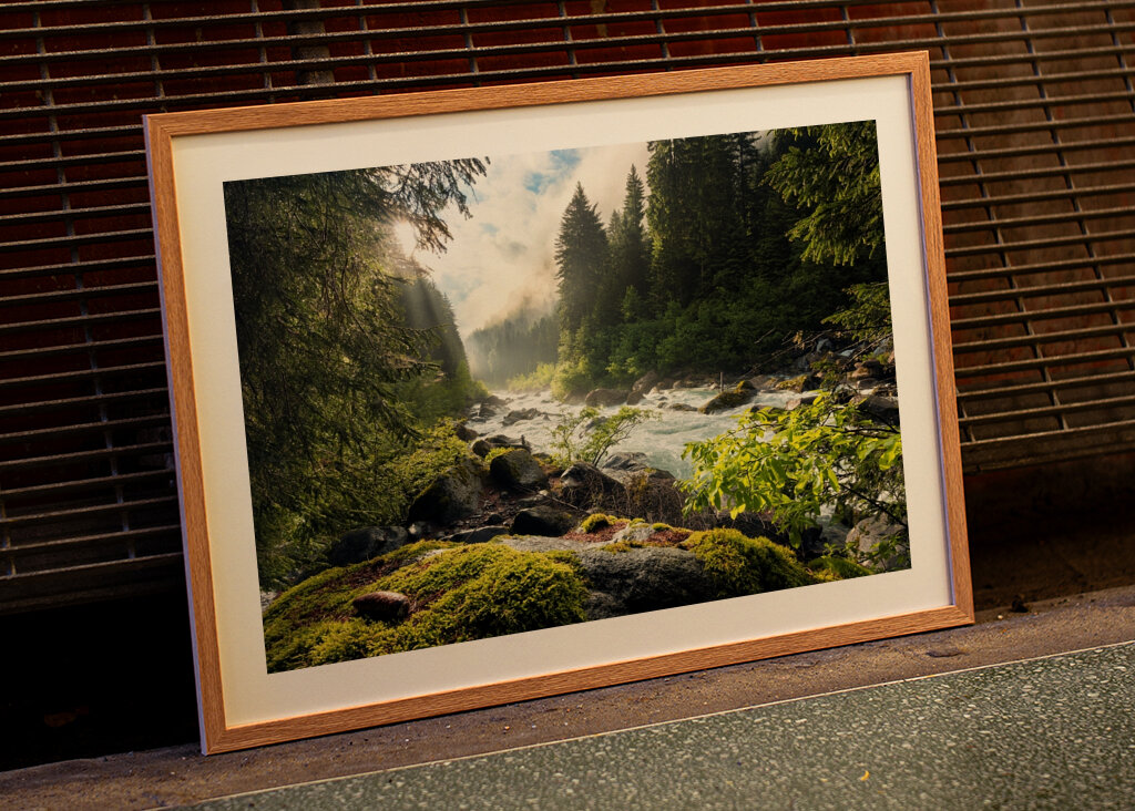 Sonnenbeschienener Waldbach