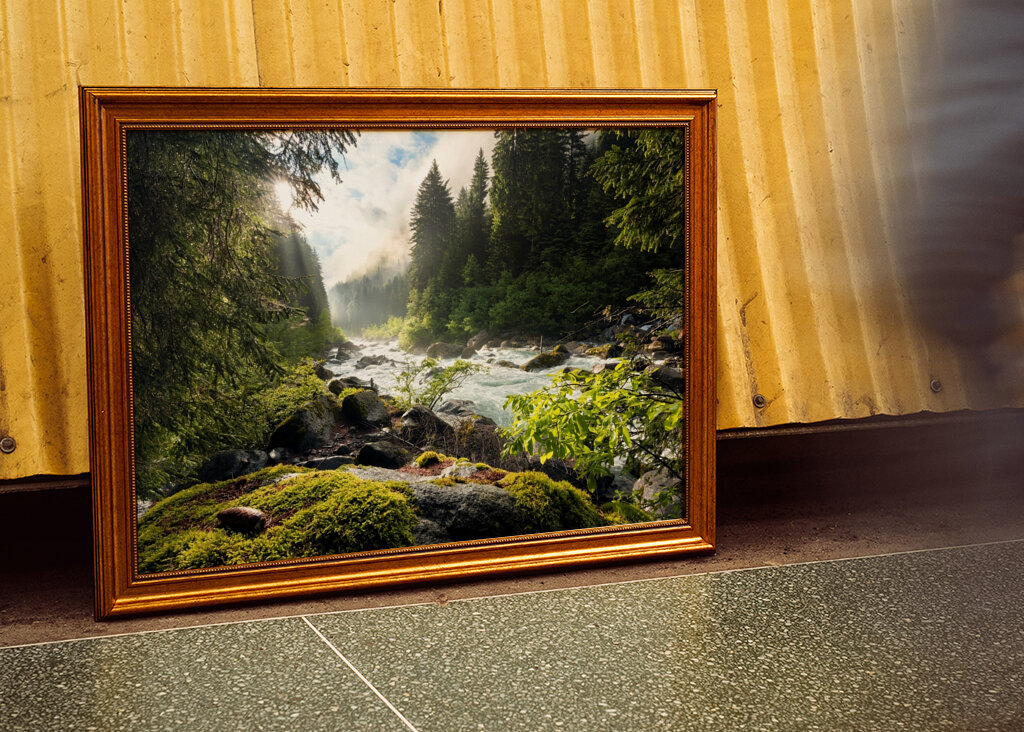 Sonnenbeschienener Waldbach