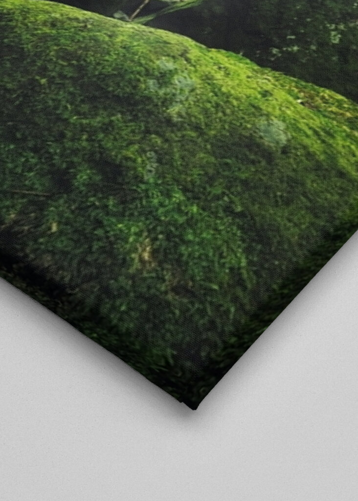 Gelassenheit der Mossy Falls