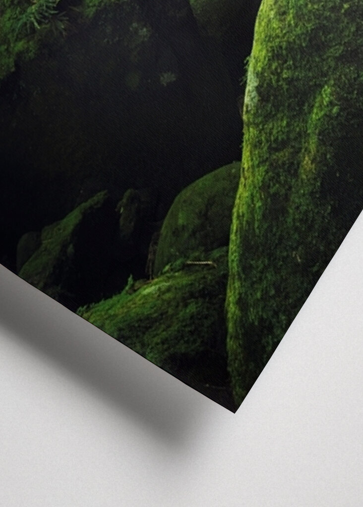 Gelassenheit der Mossy Falls