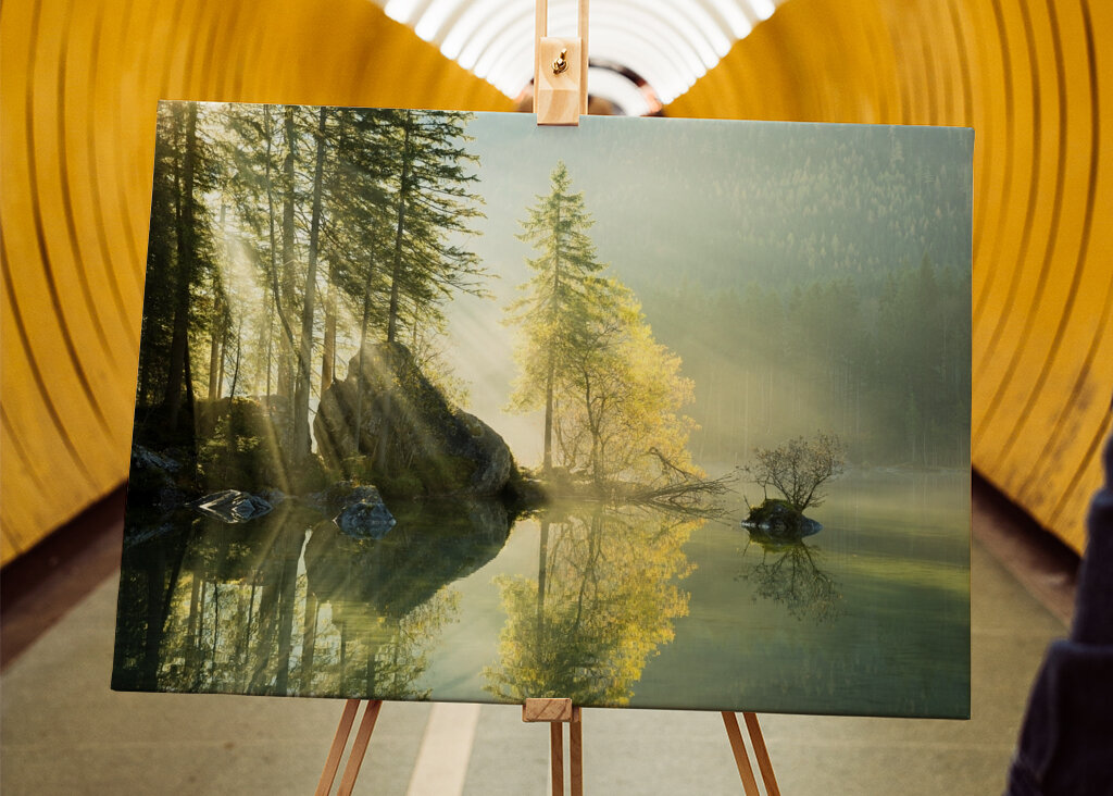 Resplandor matutino sereno