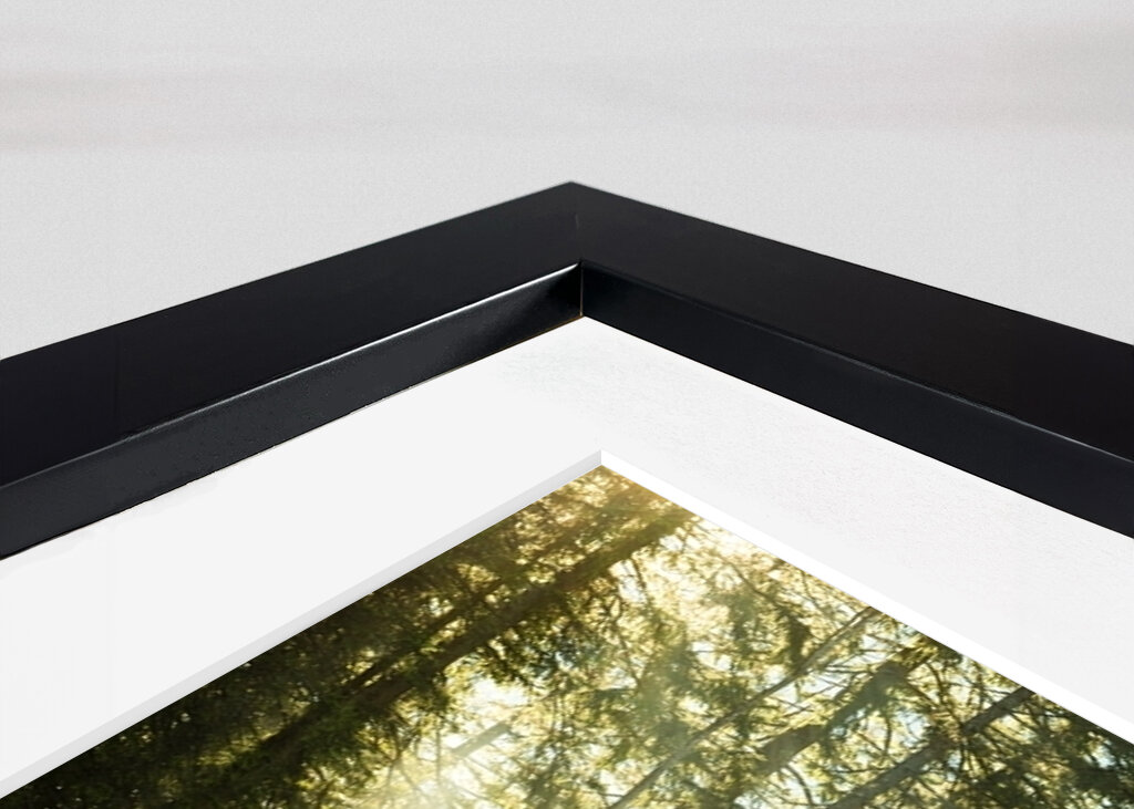 Resplandor matutino sereno