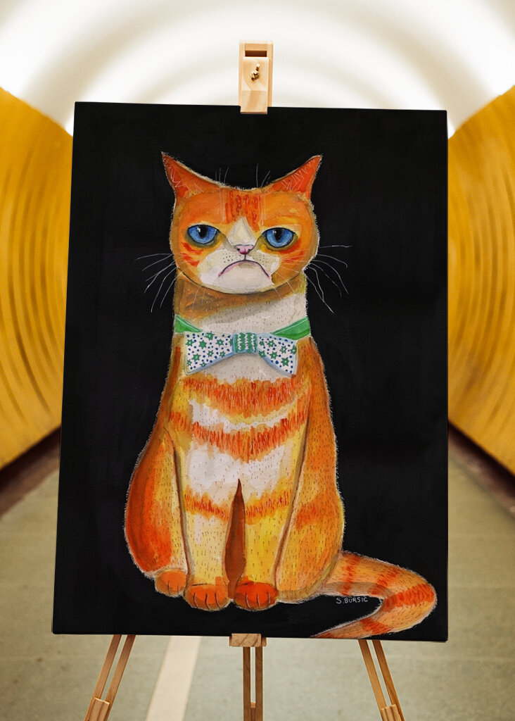 Grumpy kat i butterfly