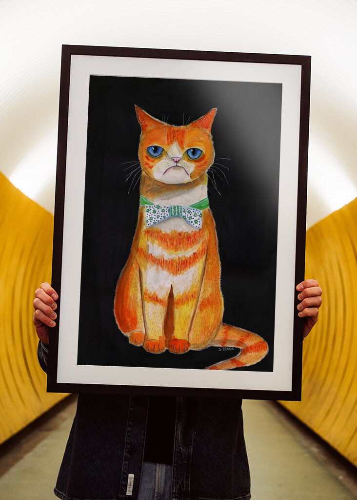 Grumpy kat i butterfly