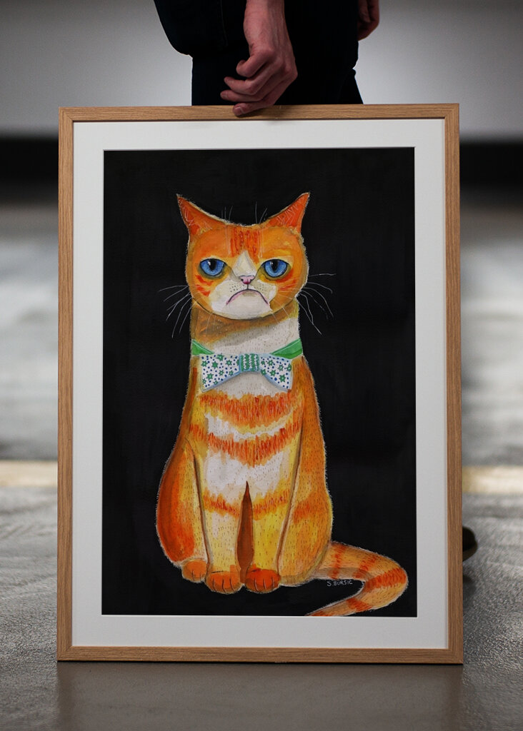 Grumpy kat i butterfly