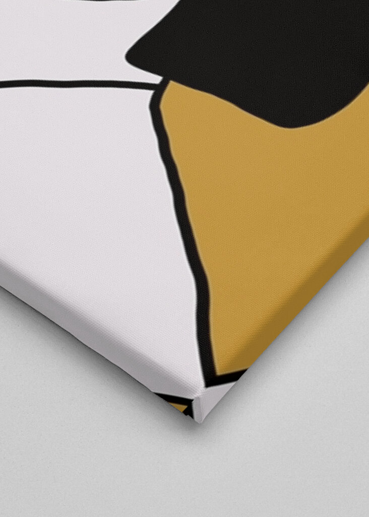 Linee audaci, sguardo tranquillo