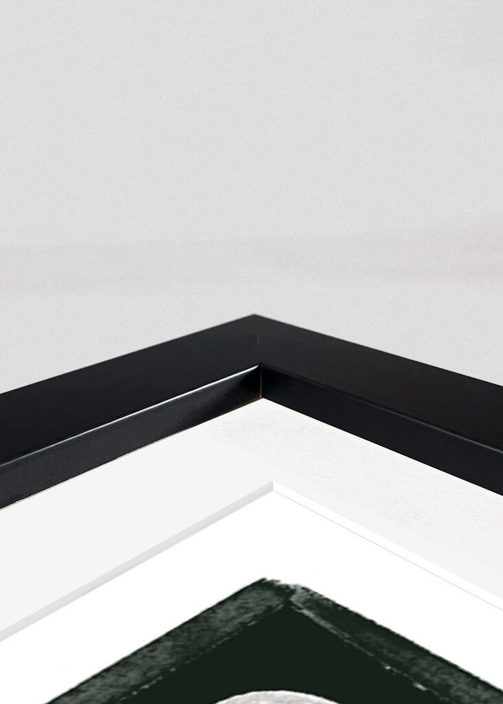 Líneas de expresión