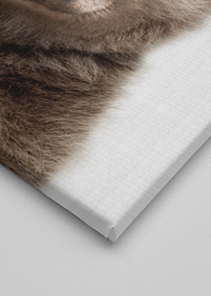 Sumea pieni ystävä