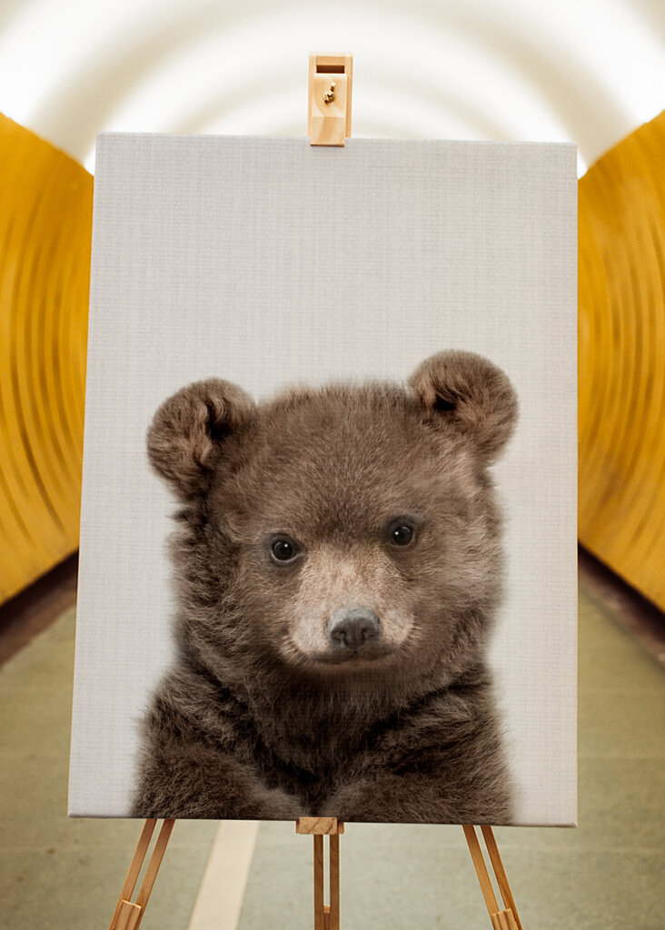 Sumea pieni ystävä