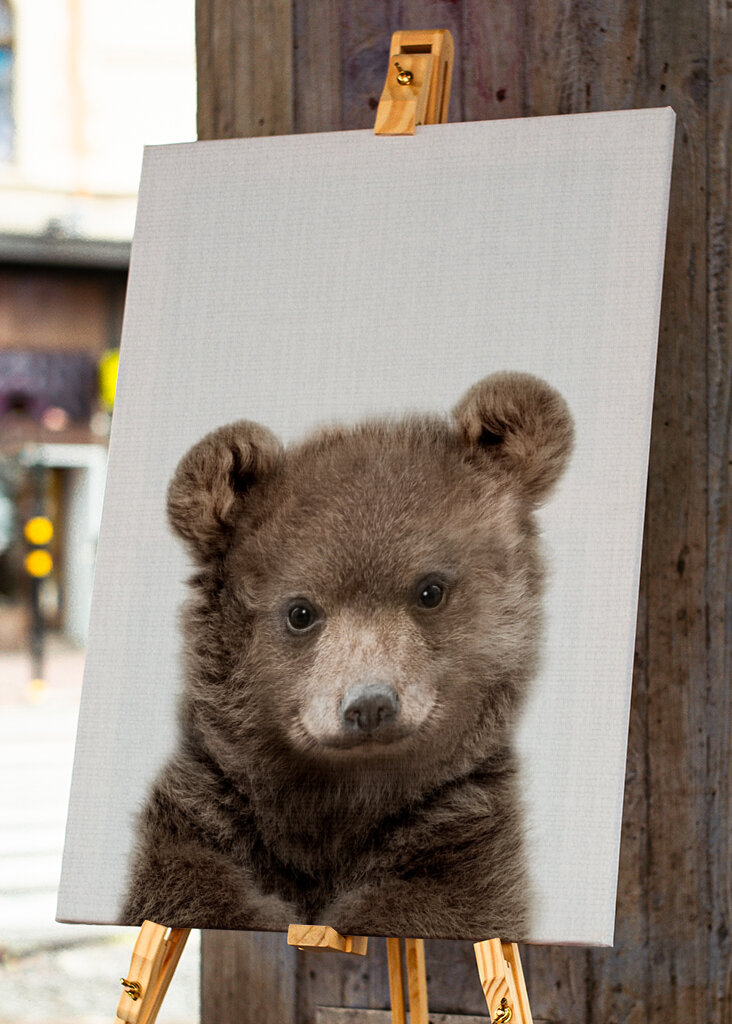 Sumea pieni ystävä