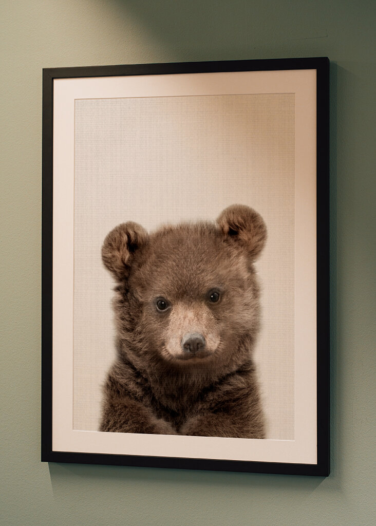 Sumea pieni ystävä