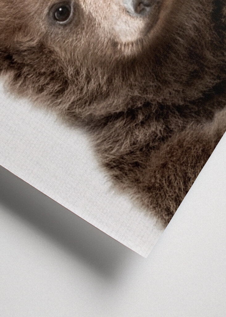 Sumea pieni ystävä