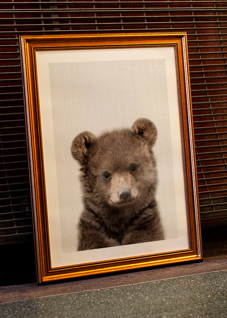 Sumea pieni ystävä