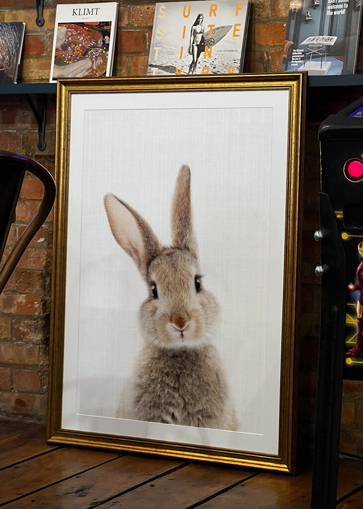 Bolyhos fülek öröme