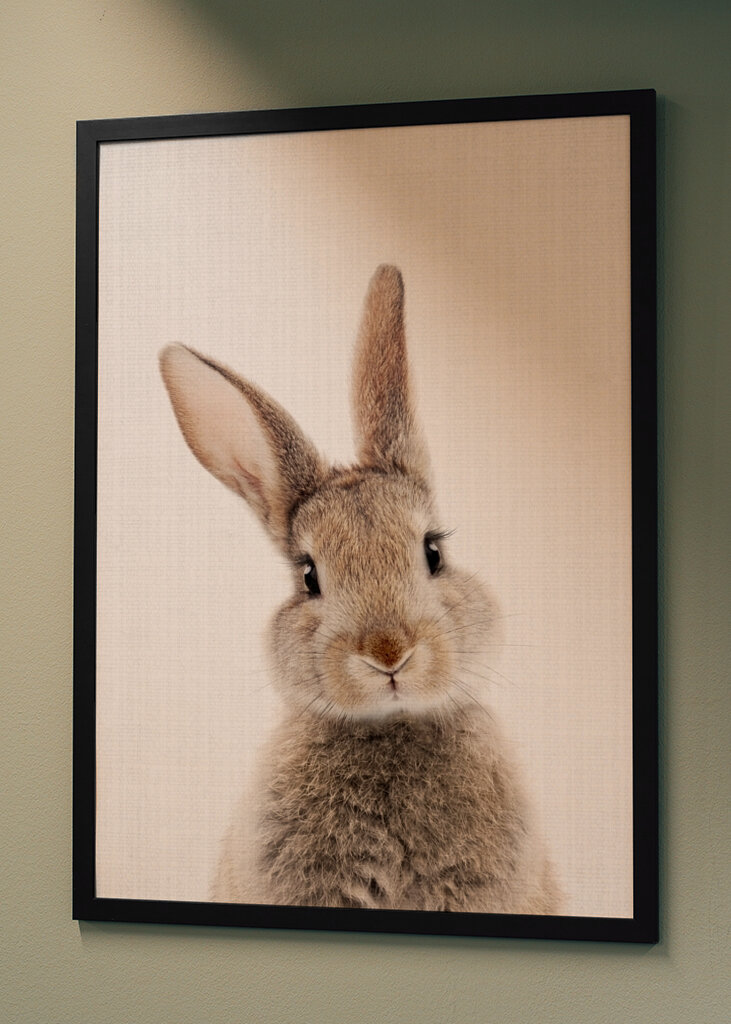 Bolyhos fülek öröme