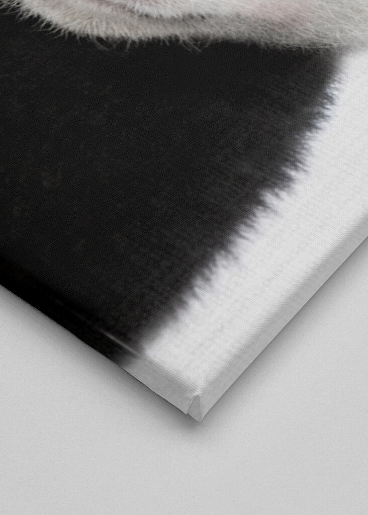 Panda Cuteness Galore