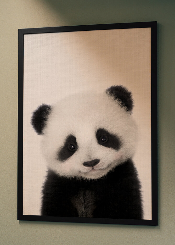 Panda Cuteness Galore