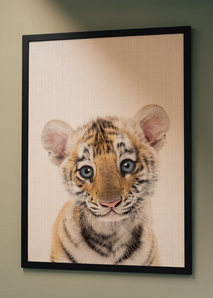 Le regard innocent de l’ourson