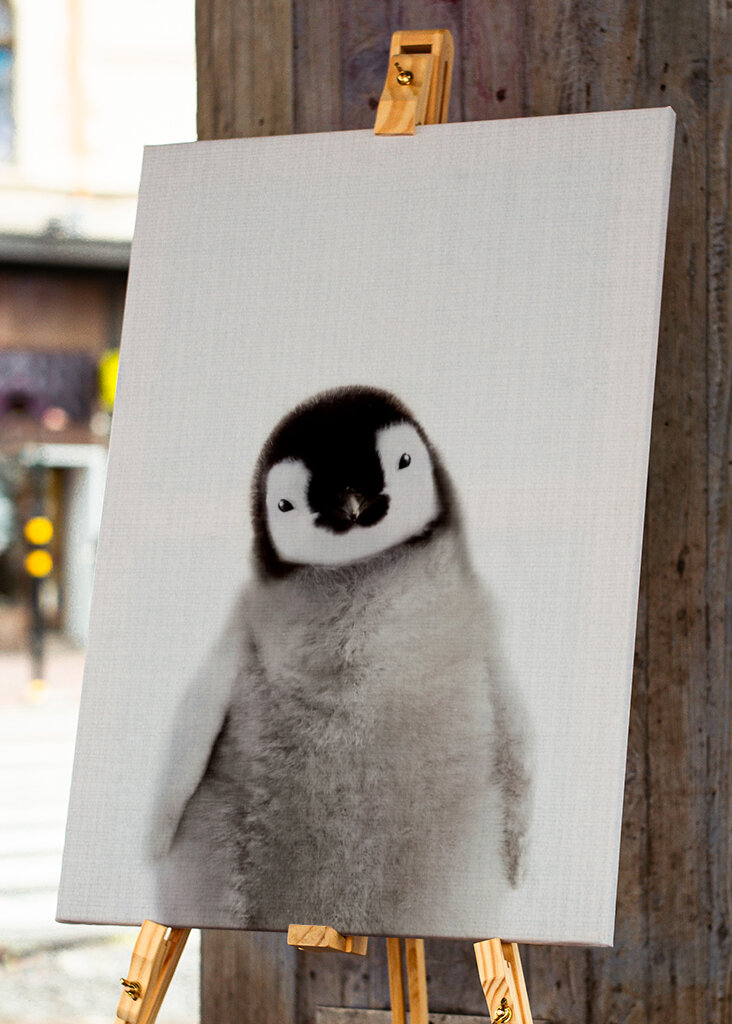 Nadýchaný přívěsek tučňáka