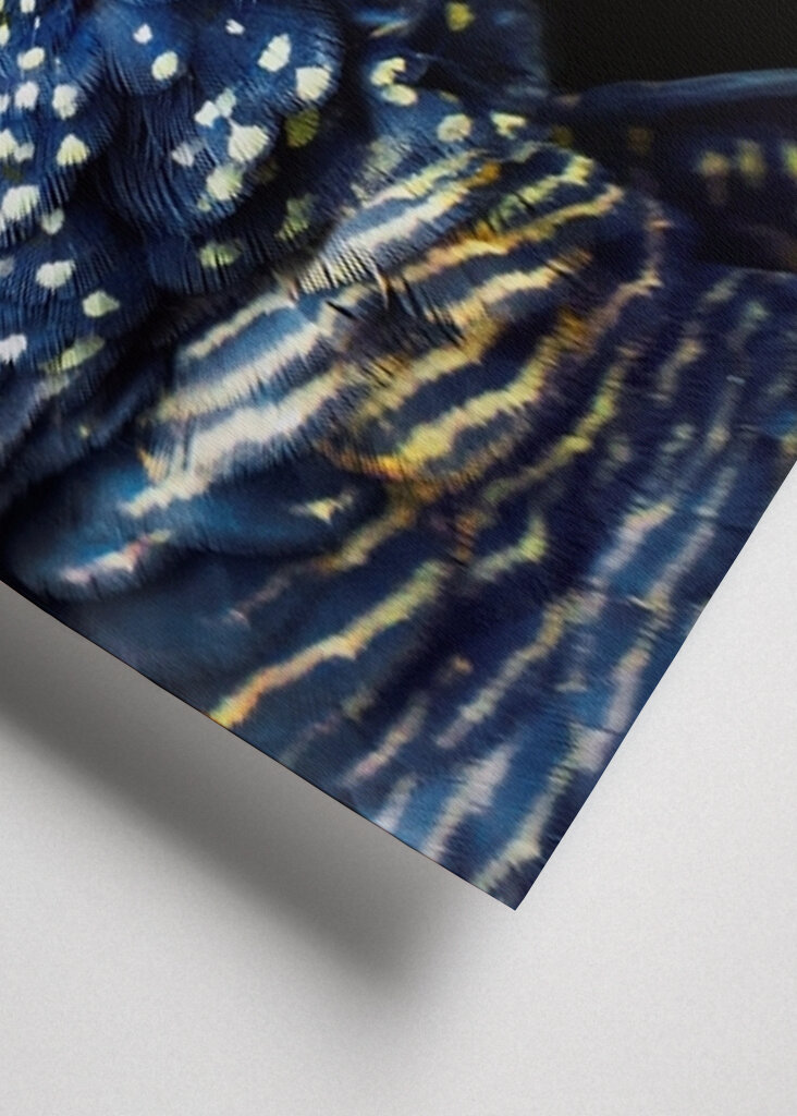 Alas de noche estrellada