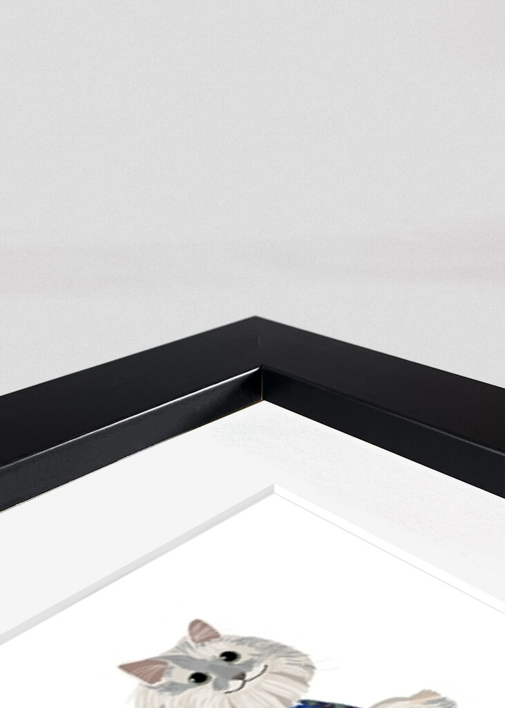 Kočky oděné v kimonu