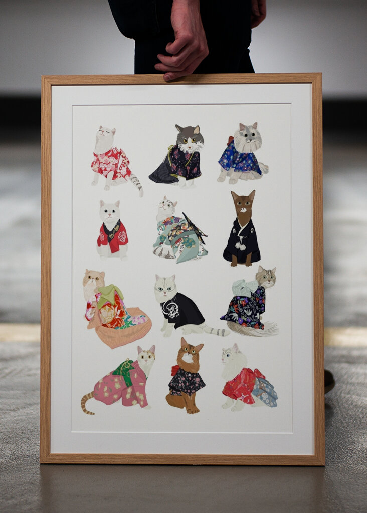 Kočky oděné v kimonu
