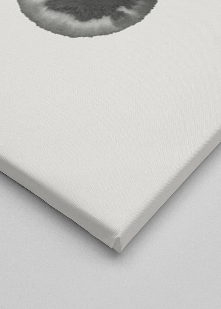 Flujo de floración de tinta